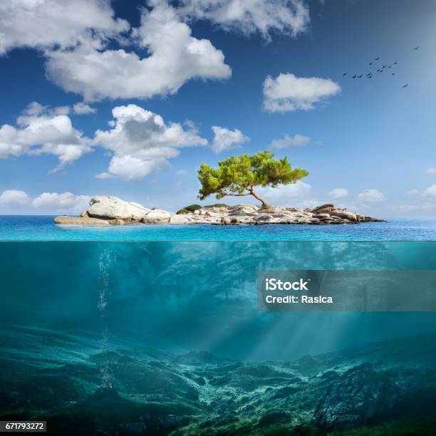 Piccola Isola Idilliaca Con Albero Solitario Nelloceano - Fotografie stock e altre immagini di Mare