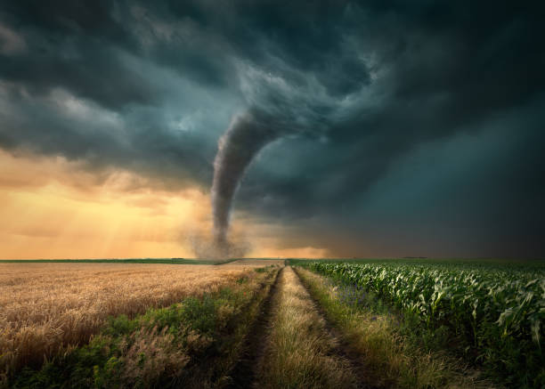 Tornado struck on agricultural fields at sunset Driving on straight dirt road towards the ominous tornado storm through the cultivated fields of wheat and corn crops. alley photos stock pictures, royalty-free photos & images