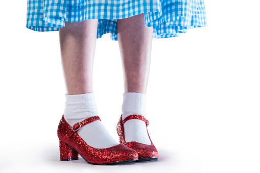 Red Ruby Slippers and white socks worn by a girl in a blue plaid dress.