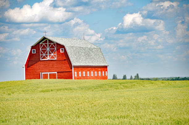 istock Red barn at different seasons of the year- fall 671803108