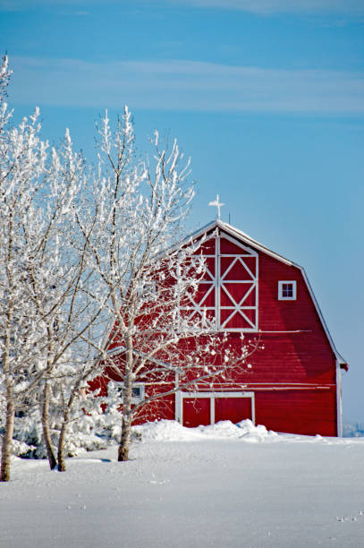 istock Red barn at different seasons of the year- winter 671803844