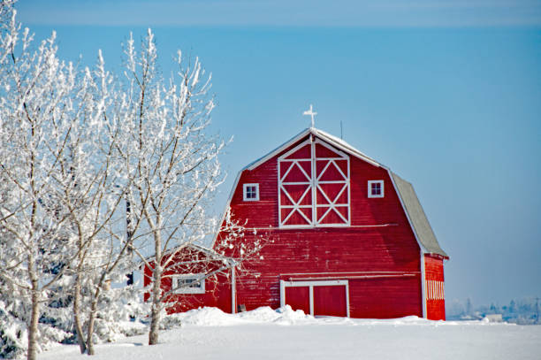 istock Red barn at different seasons of the year- winter 671806062
