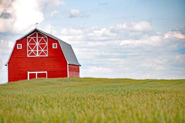 istock Red barn at different seasons of the year- fall 671806312