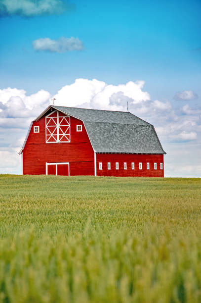 istock Red barn at different seasons of the year- summer 671806572