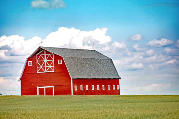istock Red barn at different seasons of the year- fall 671806844