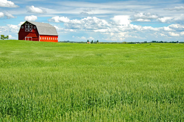 istock Red barn at different seasons of the year- summer 671809818