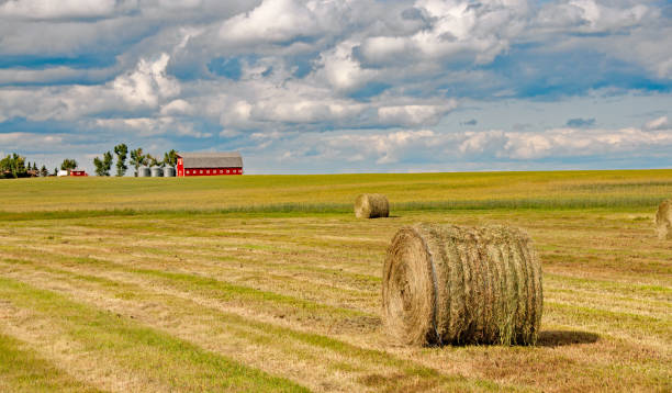 istock Red barn at different seasons of the year- fall 671810142