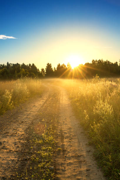 istock summer rural landscape with sunrise 671810772