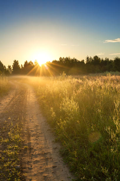 istock summer rural landscape with sunrise 671812882