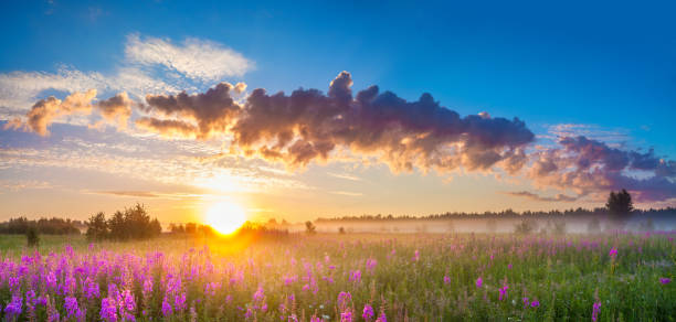 istock rural panorama landscape with sunrise  and  blossoming meadow 671819924