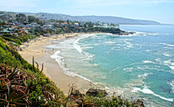 istock Sweet sunshine in Laguna Beach. 671821998