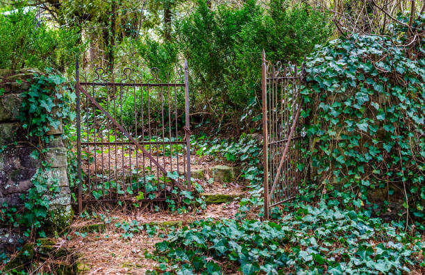 Scenic rustic open iron gate.  Beautiful pathway thru lush foliage. stock photo