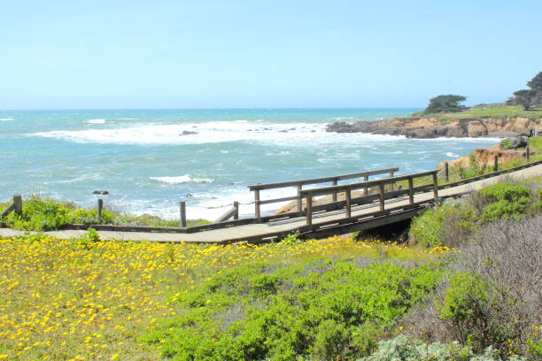 istock Footbridge Along the Boardwalk in Cambria, California 671826384