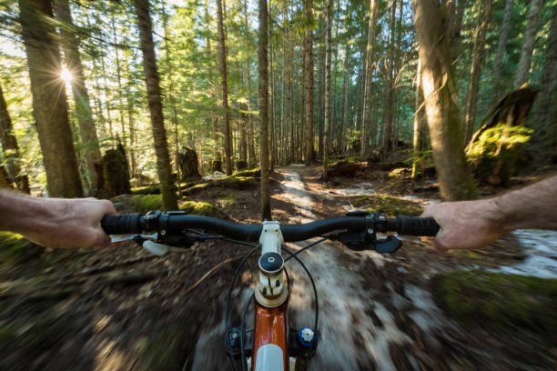 istock POV Mounatin Biking 671829496