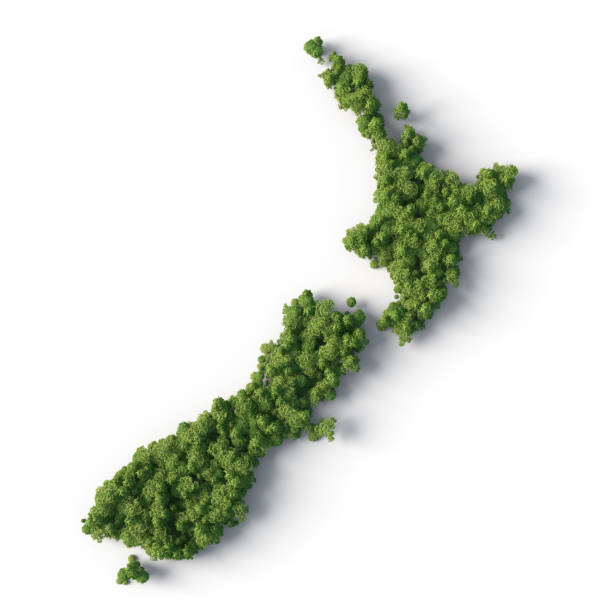 3d forest in the new zealand shape