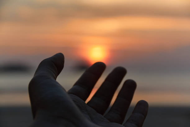istock Human's hand rising to the sky 671836238