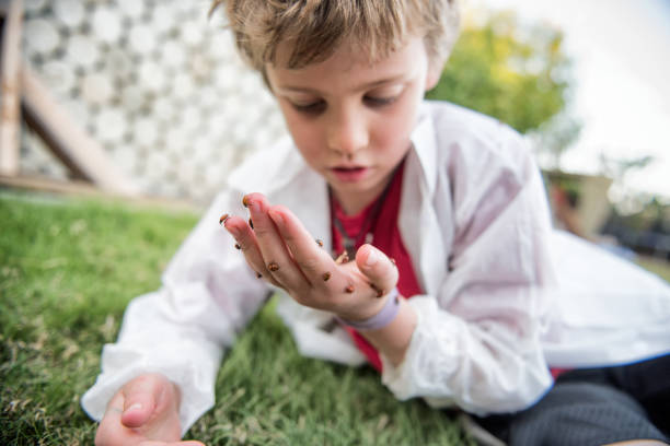 istock young child scientist's hand is covered in ladybugs 671843106