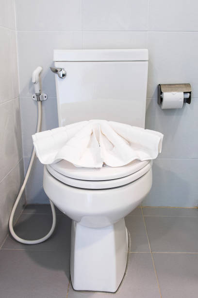 istock bath mat on flush toilet in the bathroom 671858224