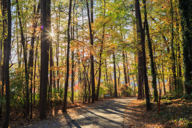 Raleigh Nc Pictures Download Free Images on Unsplash