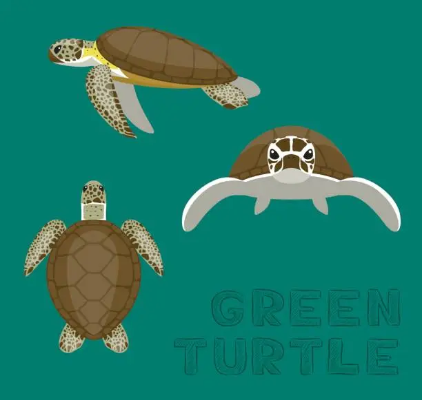 Vector illustration of Sea Green Turtle Loggerhead Cartoon Vector Illustration
