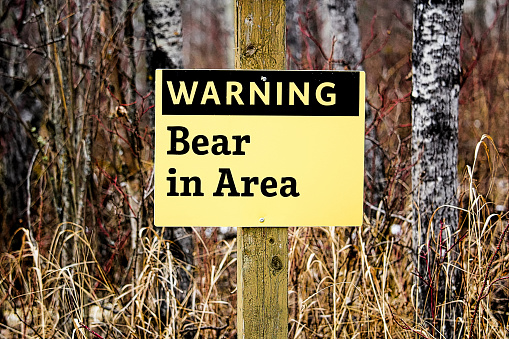 Warning Bear in Area sign.