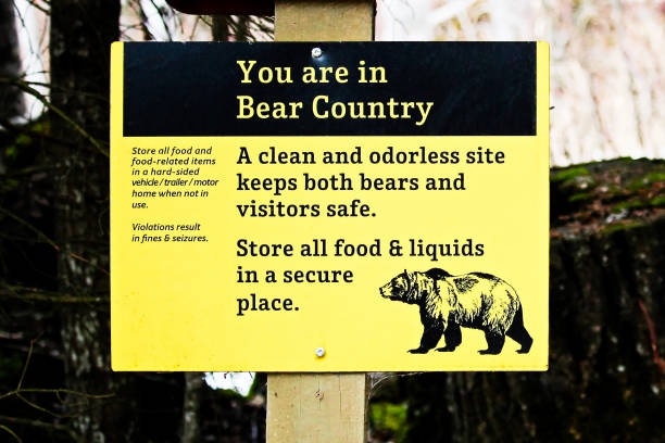 istock You are in Bear Country sign 671876476