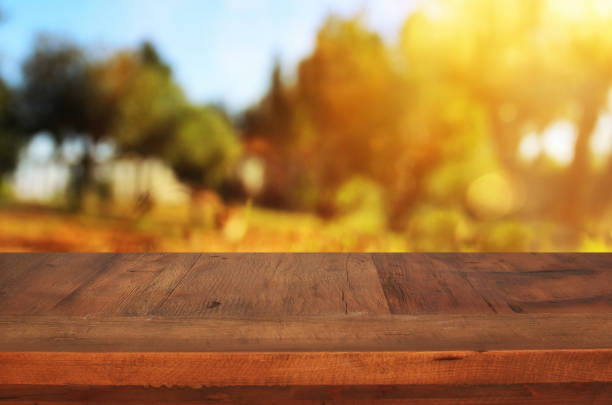 istock Empty table in front of dreamy countryside background 671883038