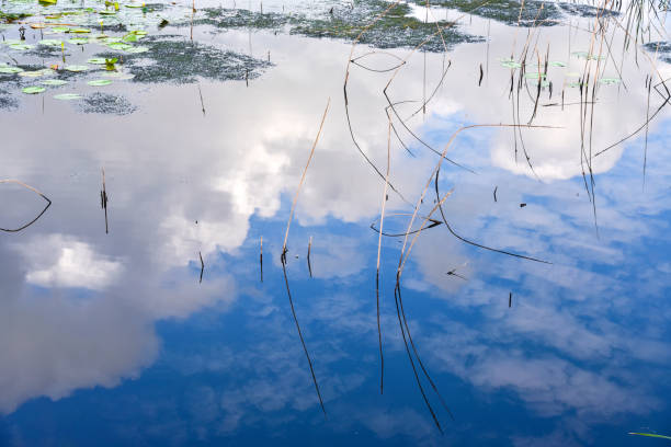istock Beautiful blue sky reflect on lagoon 671886386