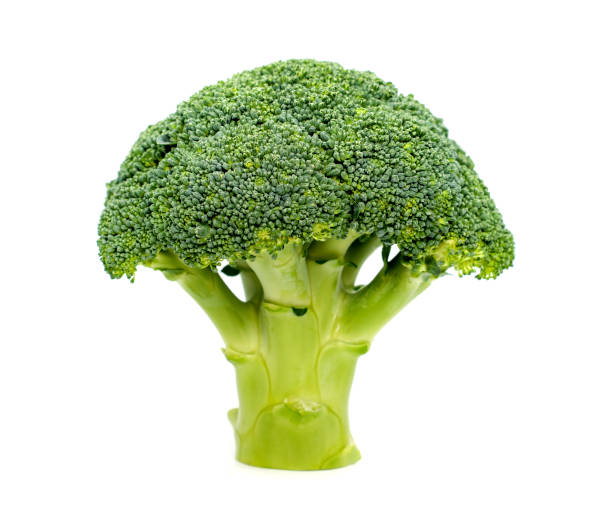 istock Ripe Broccoli Cabbage Isolated on White Background 671888750