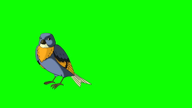 Animated Bird Stock Videos and Royalty-Free Footage - iStock