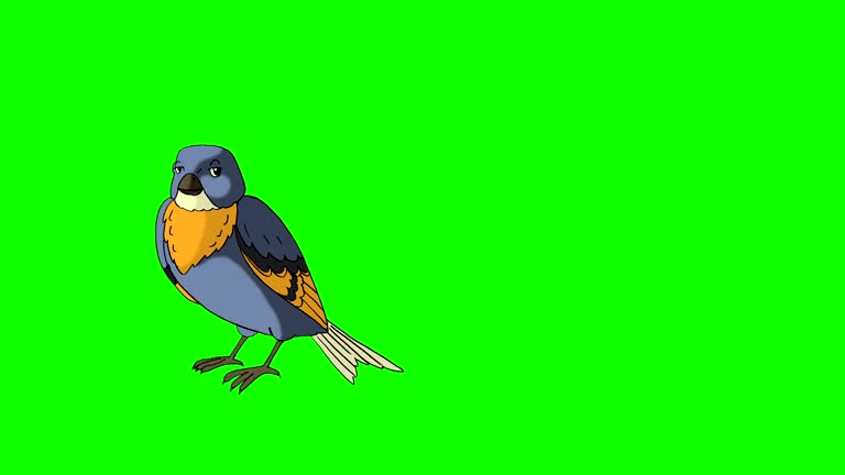 Animated Bird Stock Videos and Royalty-Free Footage - iStock Animated Bird Stock Videos and Royalty-Free Footage - iStock