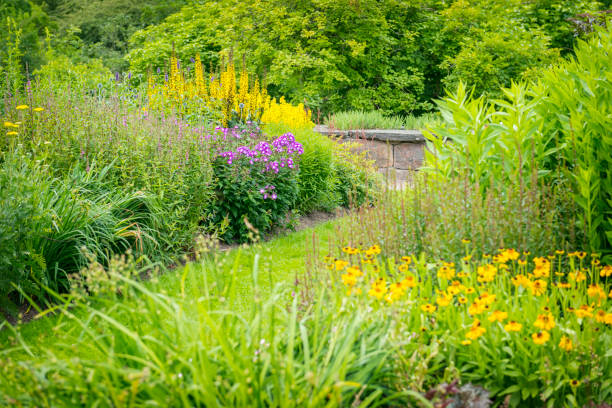 istock Green garden in light summer rain 671912724