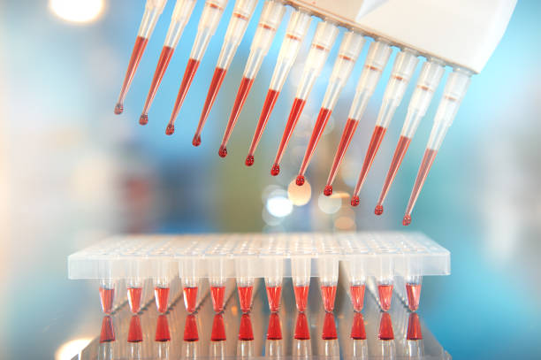 formação científica, sequenciamento de dna e amplificação - high throughput - fotografias e filmes do acervo