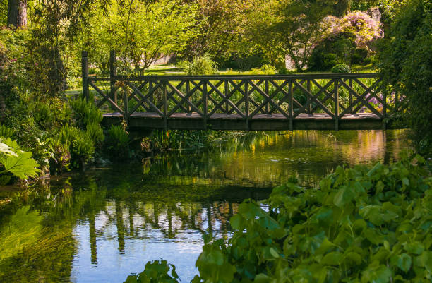 istock Wooden bridge on the river 671919806
