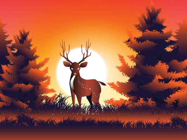 istock deer and moon and grass in pine wood at evening 671934796