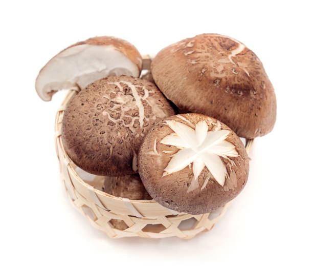 istock Shiitake mushroom on the White background 671935044