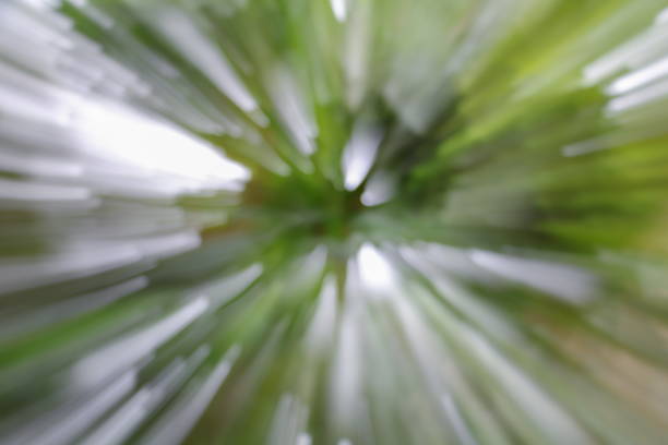 istock green of tree blurred background, speed zoom effect 671948426