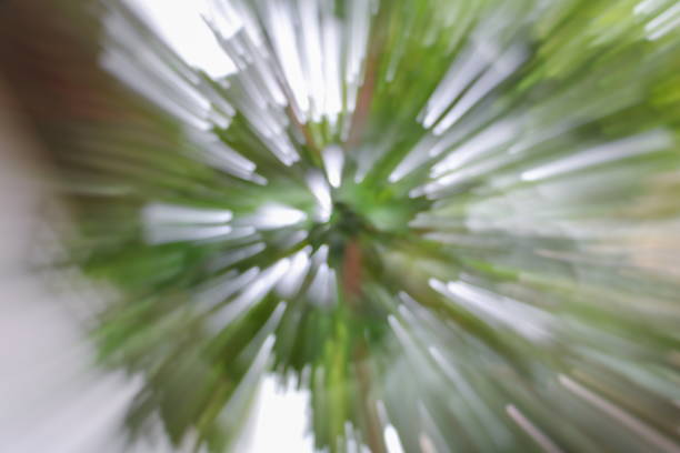 istock green of tree blurred background, speed zoom effect 671948512