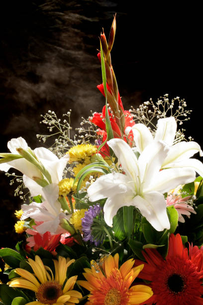 istock variety of flowers 671955678