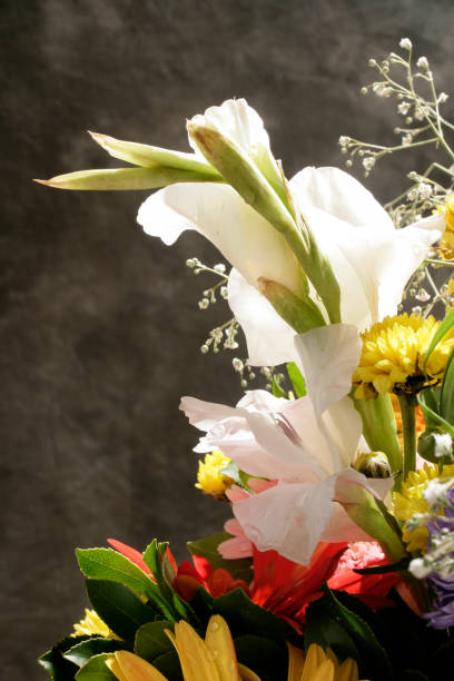 istock variety of flowers 671959070