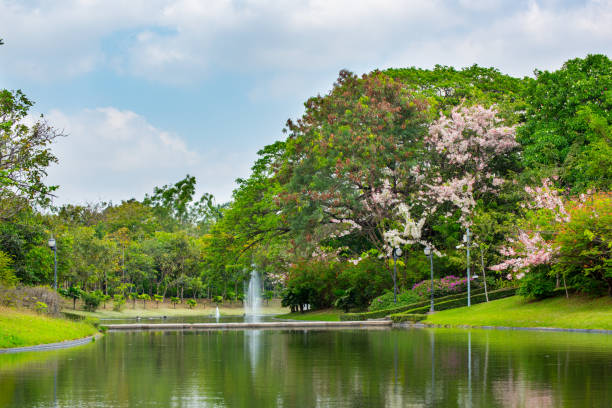 istock Green city public park. 671965804