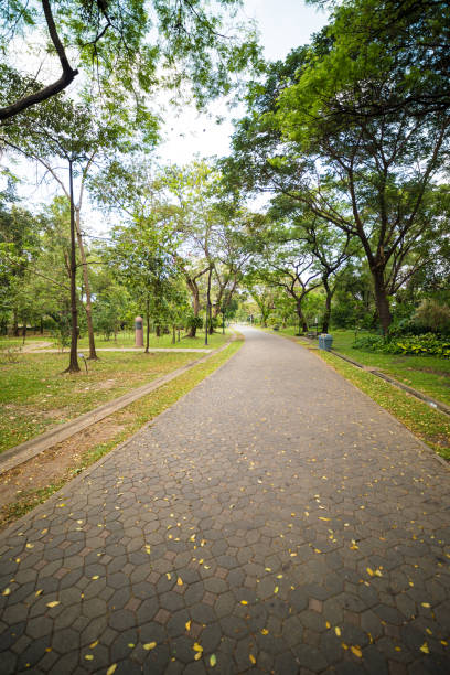 istock Green city public park. 671971566