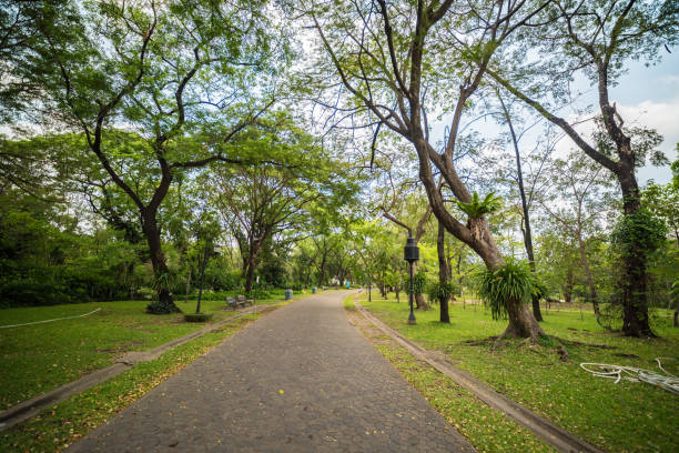 istock Green city public park. 671971700