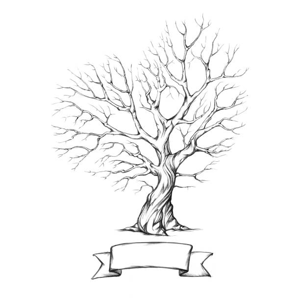 하트 모양의 왕관이 있는 나무 - 겨울나무 stock illustrations