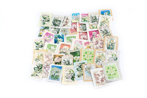 istock A stamp printed in Japan shows white flower collection. 671981670