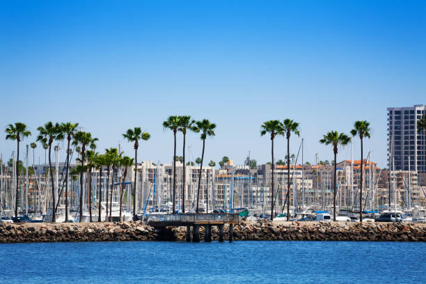 istock Long Beach cityscape with palms and yacht's pylons 671981952