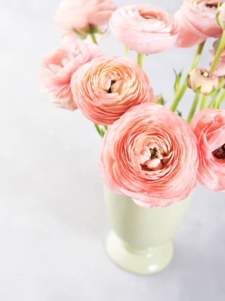 istock Beautiful pink ranunculus bouquet 671982220