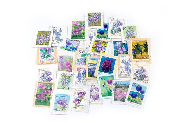 istock A stamp printed in Japan shows violet flower collection. 671984780