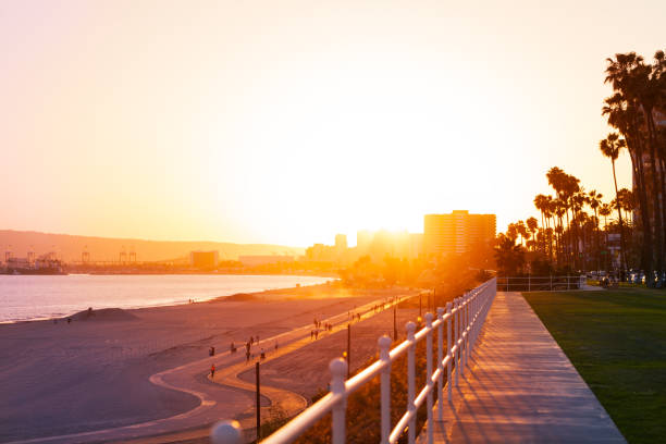 Beautiful sunset over the Long Beach coastline with palm trees and buildings' silhouettes, California