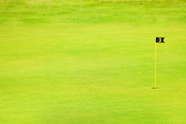 istock Green fairway of golf course with pin and cup 671992368